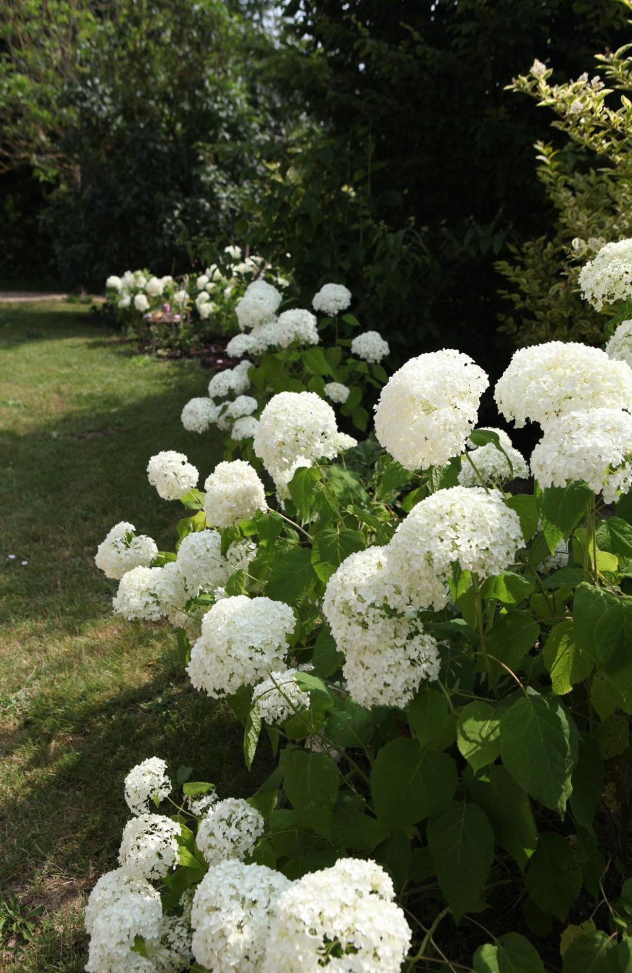 Une Maison, Un Jardin Berthenay Exterior foto